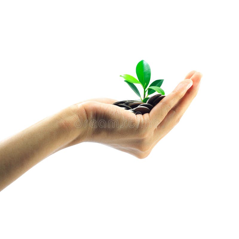 Little plant growing from pile of coins on hand