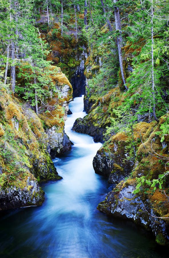 Little Qualicum Falls Provincial Park