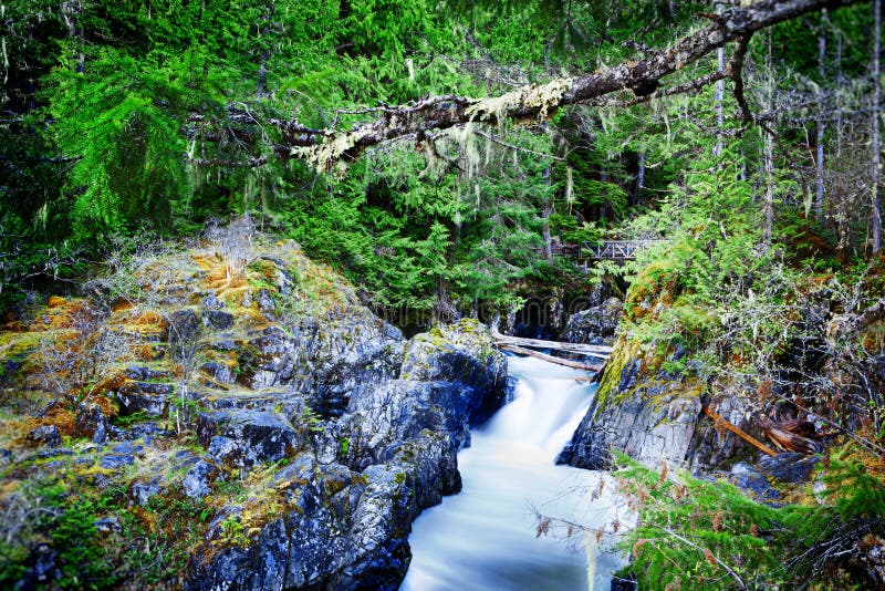 Little Qualicum Falls Provincial Park