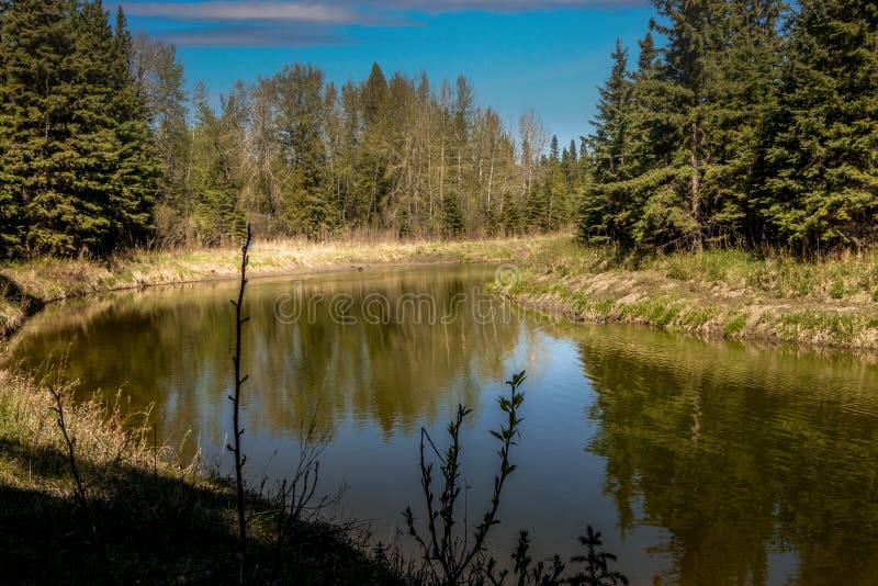 Little Red Deer River Meanders through the Park Red Lodge PP Alberta