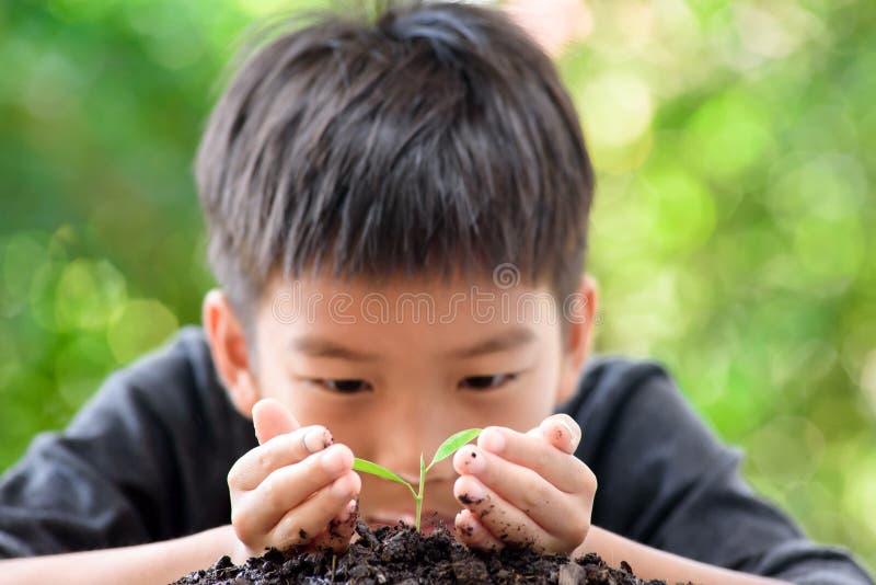 Little seedling in boy hands