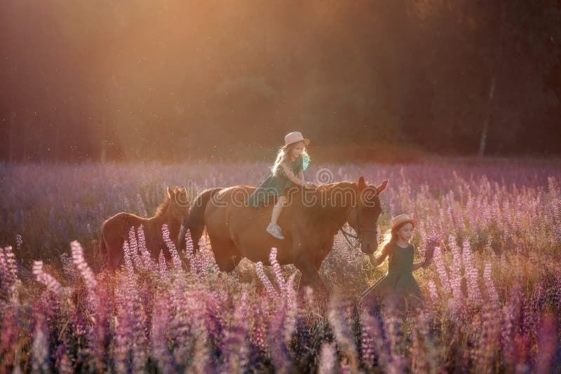 Little sisters walking with horse in a pink meadow
