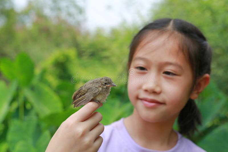 Little sparrow sitting on kid hand, taking care of birds, friendship. Concept of nature of life. Focus at small bird