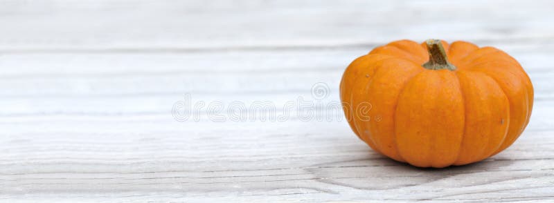 Little Squash Put on a White Wooden Table Stock Photo Image of fresh