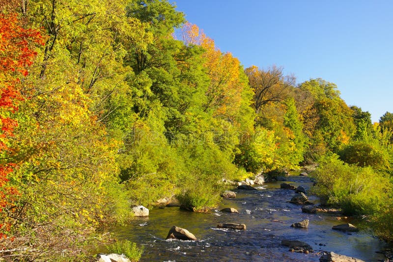 little tamaqua för pennsylvania flodschuylkill royaltyfria foton little tamaqua för pennsylvania flodschuylkill royaltyfria foton