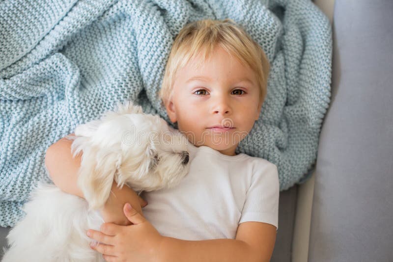 Little Toddler Child, Boy, Lying in Bed with Pet Dog, Little Maltese