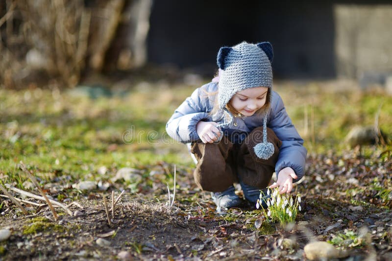 Little toddler girl touching snowdrops