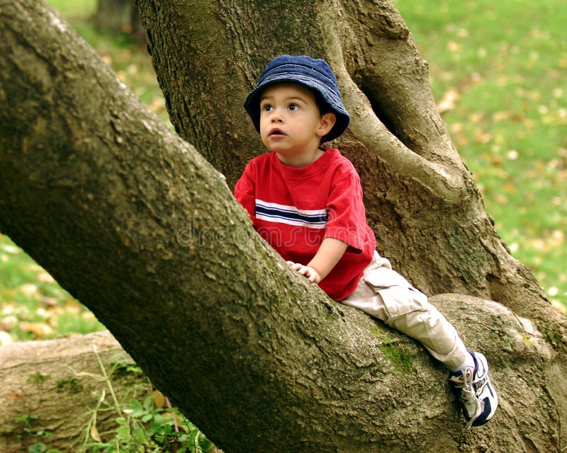 Little Tree Climber stock image