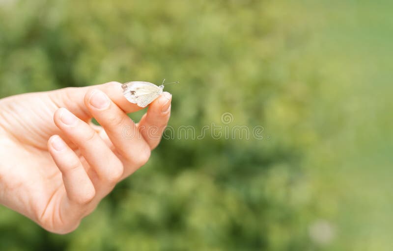 Little white butterfly on girl finger. Love to nature, freedom, lightness and easygoing concept. royalty free stock photos Little white butterfly on girl finger. Love to nature, freedom, lightness and easygoing concept. royalty free stock photos