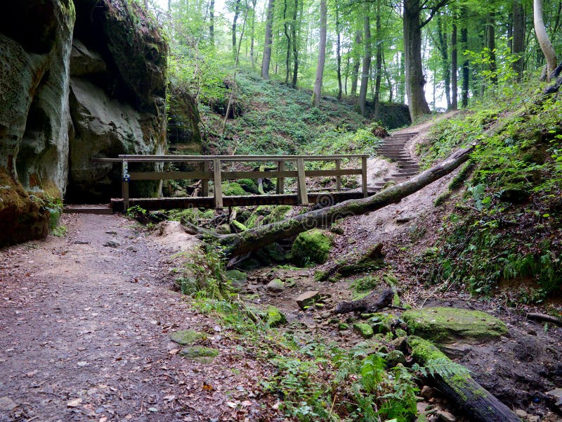 Wooden Bridge on the Hiking Trail in Berdorf, Luxembourg Stock Image ...