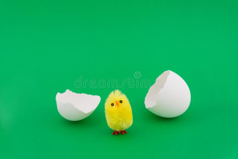 The little yellow chicken hatched out of the egg. Toy chicken for Easter royalty free stock image
