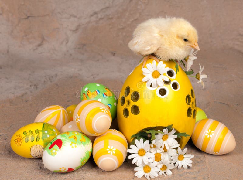 Chick on easter eggs stock photo. Image of newborn, little 29726162