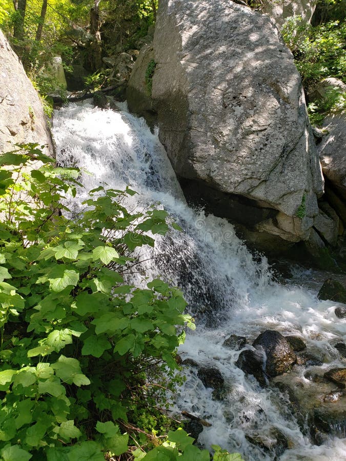 Littlet Falls på berget fotografering för bildbyråer Littlet Falls på berget fotografering för bildbyråer