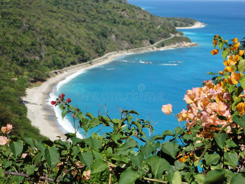 Littoral images libres de droits Littoral images libres de droits