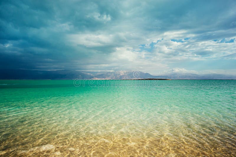Littoral de mer morte photos stock Littoral de mer morte photos stock
