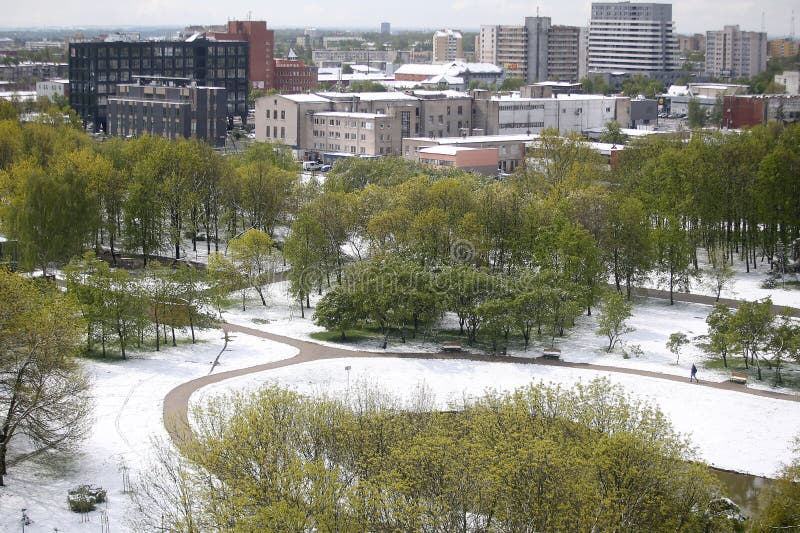 Lituanie kaunas. La neige peut sur le matin 12 à Kaunas. Temps Lituanie 20200512 de nom d'objet. Printemps 20200512 de la Lituanie de temps de nom d'objet.