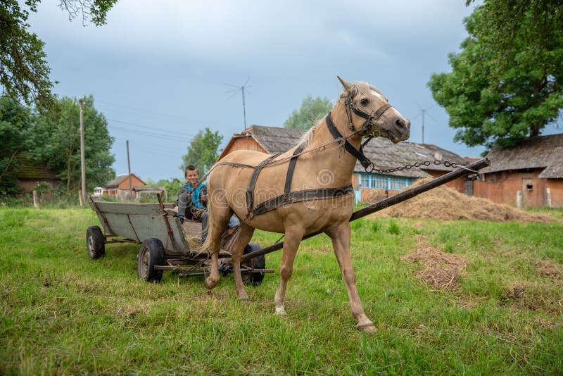 Litynia village, Ukraine - June 02, 2018: Two young boys riding on an old wooden cart, stocking hay for livestock. Life in a village, lifestyle. Litynia village, Ukraine - June 02, 2018: Two young boys riding on an old wooden cart, stocking hay for livestock. Life in a village, lifestyle