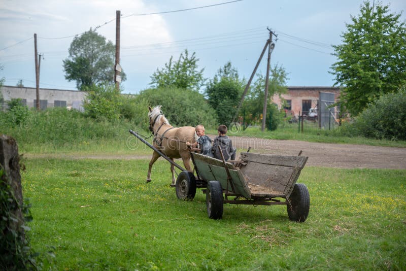 Litynia village, Ukraine - June 02, 2018: Two young boys riding on an old wooden cart, stocking hay for livestock. Life in a village, lifestyle. Litynia village, Ukraine - June 02, 2018: Two young boys riding on an old wooden cart, stocking hay for livestock. Life in a village, lifestyle