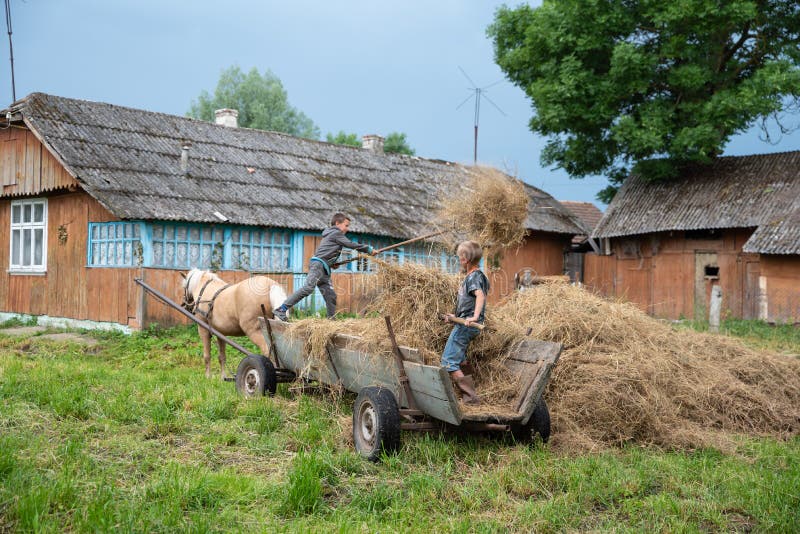 Litynia village, Ukraine - June 02, 2018: Two young boys throw hay out of a cart, stocking hay for livestock, life in a village, lifestyle. Litynia village, Ukraine - June 02, 2018: Two young boys throw hay out of a cart, stocking hay for livestock, life in a village, lifestyle