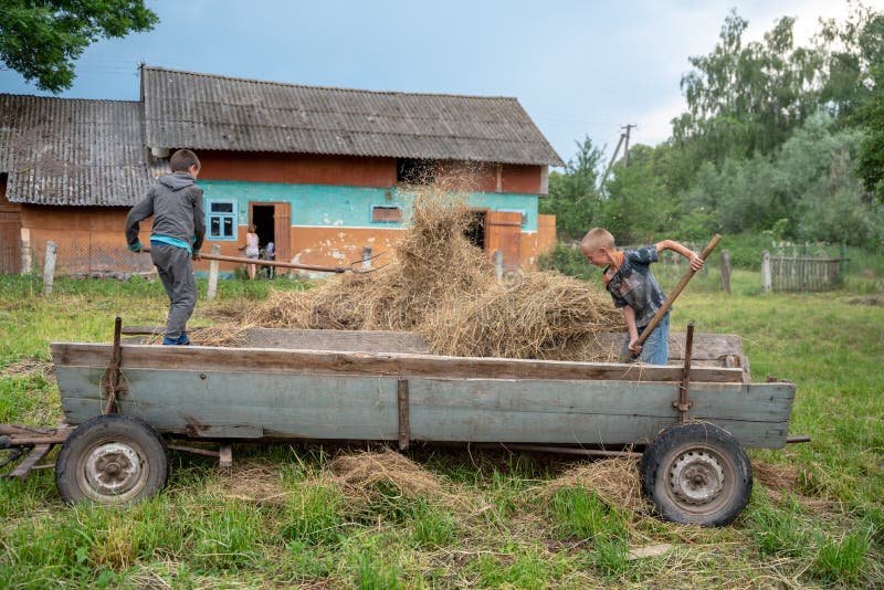 Litynia village, Ukraine - June 02, 2018: Two young boys throw hay out of a cart, stocking hay for livestock, life in a village, lifestyle. Litynia village, Ukraine - June 02, 2018: Two young boys throw hay out of a cart, stocking hay for livestock, life in a village, lifestyle