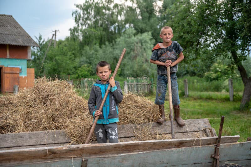 Litynia village, Ukraine - June 02, 2018: Two young boys standing on the cart, leaned on the fork, stocking hay for livestock, life in a village, lifestyle. Litynia village, Ukraine - June 02, 2018: Two young boys standing on the cart, leaned on the fork, stocking hay for livestock, life in a village, lifestyle