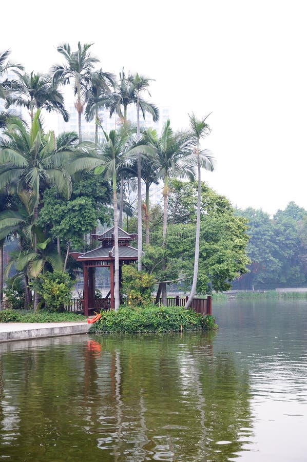 luhua landscape luhua landscape