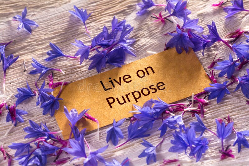 Live on Purpose stock image