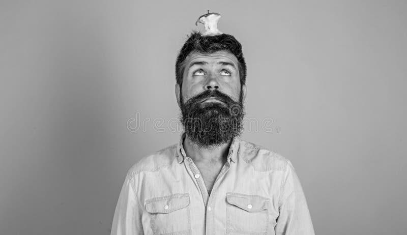 Live Target Concept. Man Handsome Hipster Long Beard almost Eaten Apple Stump on Head As Target Stock Photo - Image of healthy, healthcare: 145663000 Live Target Concept. Man Handsome Hipster Long Beard almost Eaten Apple Stump on Head As Target Stock Photo - Image of healthy, healthcare: 145663000