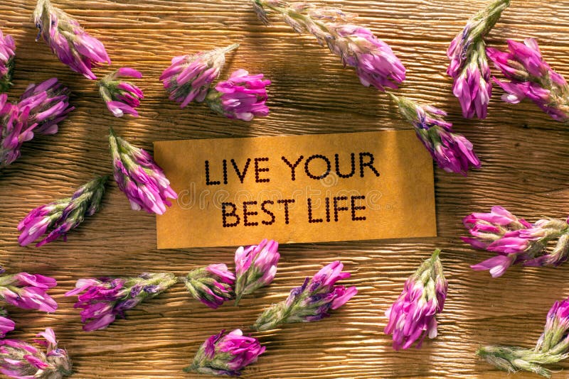 LIVE YOUR BEST LIFE royalty free stock images