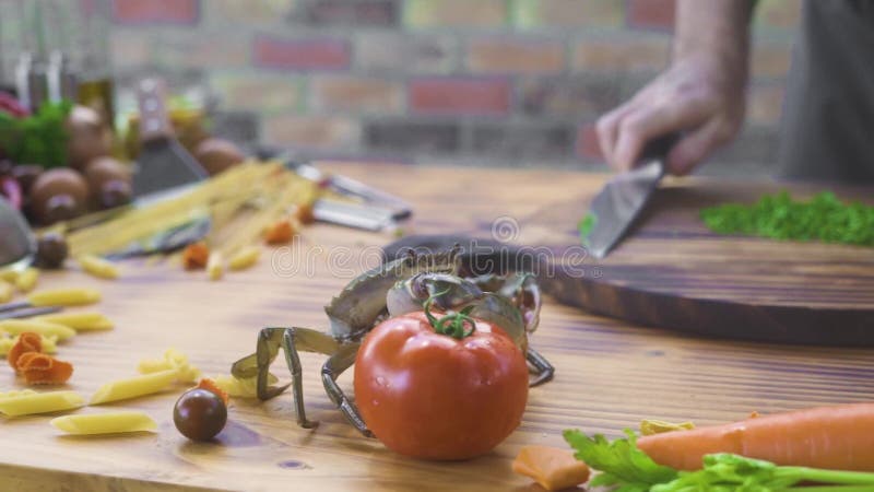 Livekrabbe, die auf Tabelle im Meeresfrüchterestaurant beim Kochen der Nahrung kriecht Chefkoch, der Seekrabbe für das Kochen in