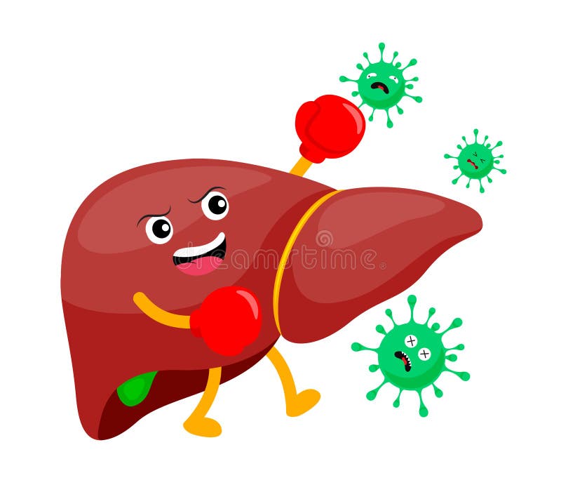 Human Liver with Health Problem. Stock Vector - Illustration of fist,  disease: 222836042