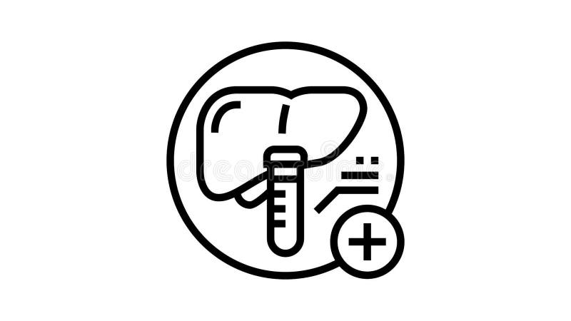 Liver Function Tests Health Check Glyph Icon Animation Stock Video Liver Function Tests Health Check Glyph Icon Animation Stock Video