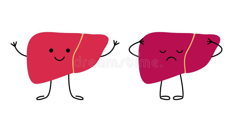 Liver Happy Stock Illustrations – 2,093 Liver Happy Stock Illustrations, Vectors & Clipart - Dreamstime Liver Happy Stock Illustrations – 2,093 Liver Happy Stock Illustrations, Vectors & Clipart - Dreamstime