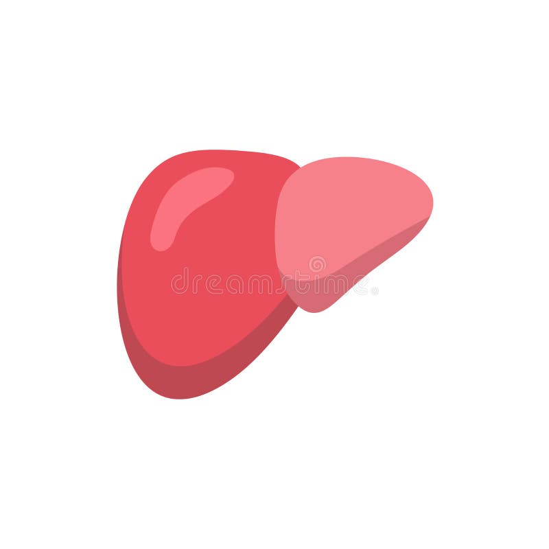 Liver Icon Design Vector, Human Body Internal Organs Stock Vector ...