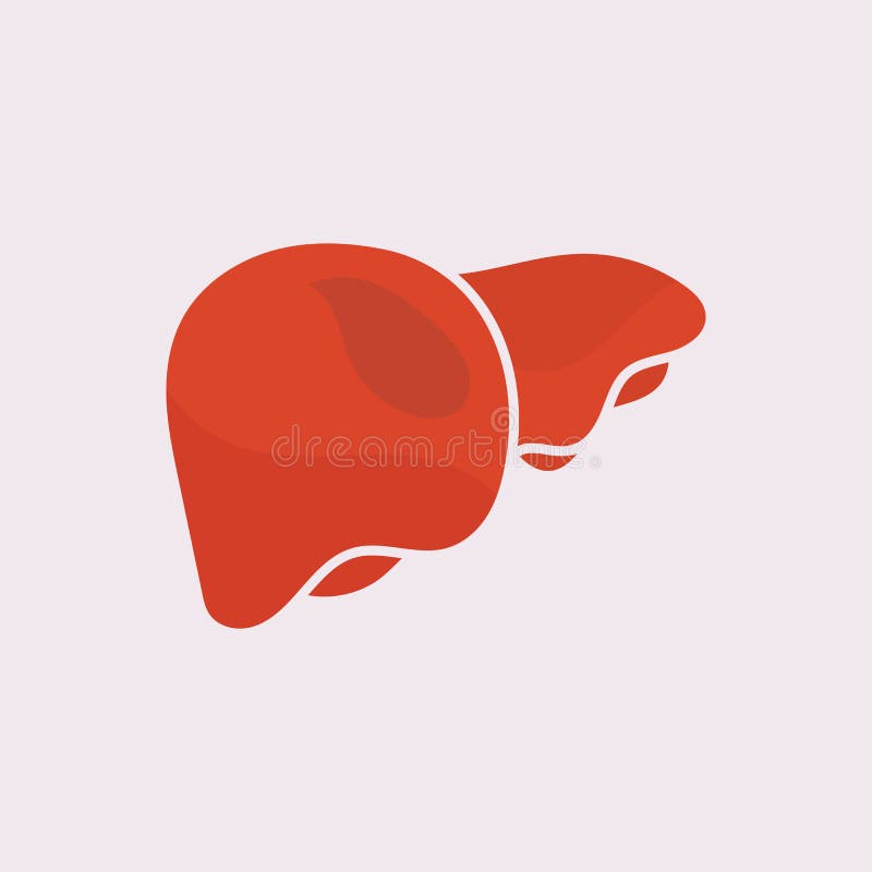 Liver Icon Flat Logo Style Organs of the Human Template Design Stock ...