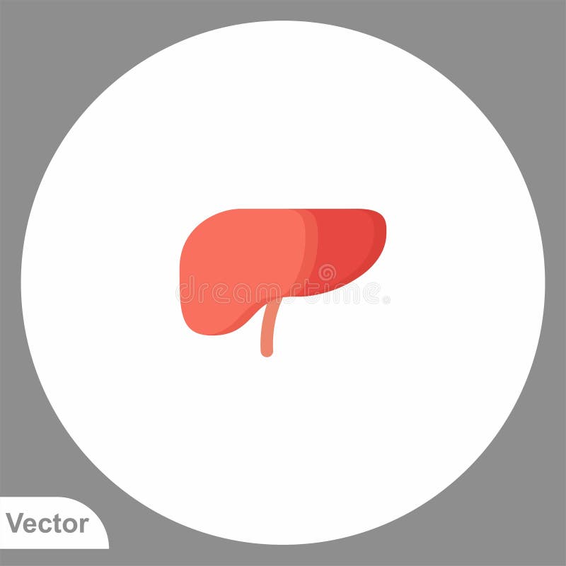 Liver Vector Icon Sign Symbol Stock Vector - Illustration of anatomy ...