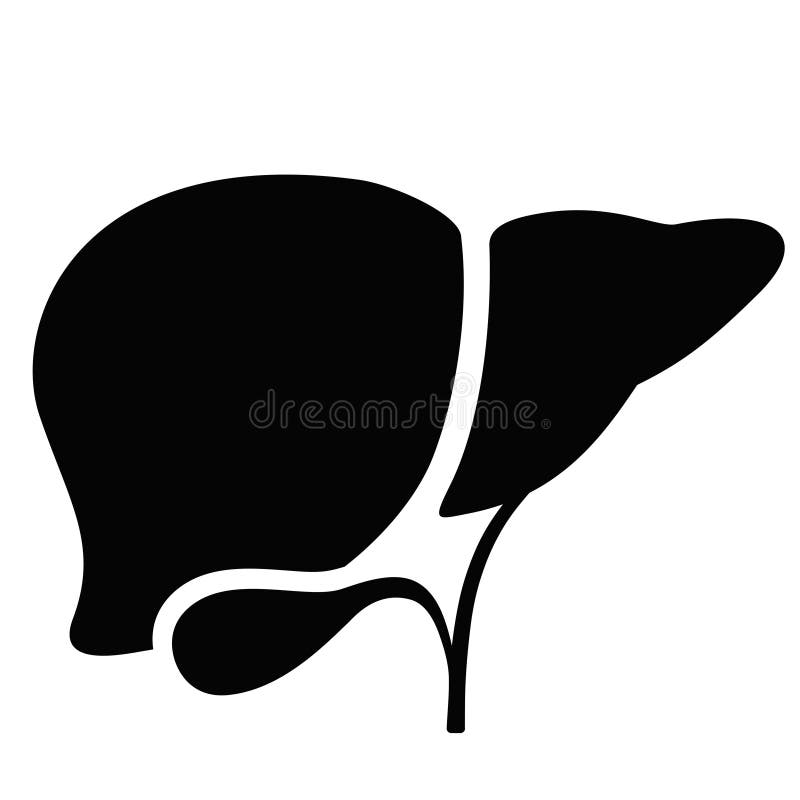 Hígado silueta icono aislado sobre fondo blanco.