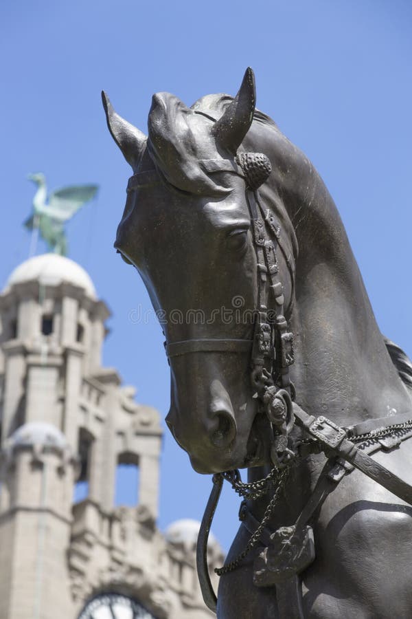 Liverpool, le R-U, le 24 juin 2014, le monument du Roi Edward VII et la statue en dehors du foie royal construisant encore le cie photos stock Liverpool, le R-U, le 24 juin 2014, le monument du Roi Edward VII et la statue en dehors du foie royal construisant encore le cie photos stock