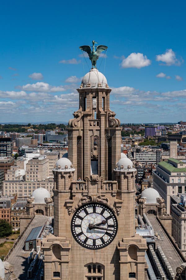 Aerial View of Liver Building with the Clock Tower and the Statue of ...
