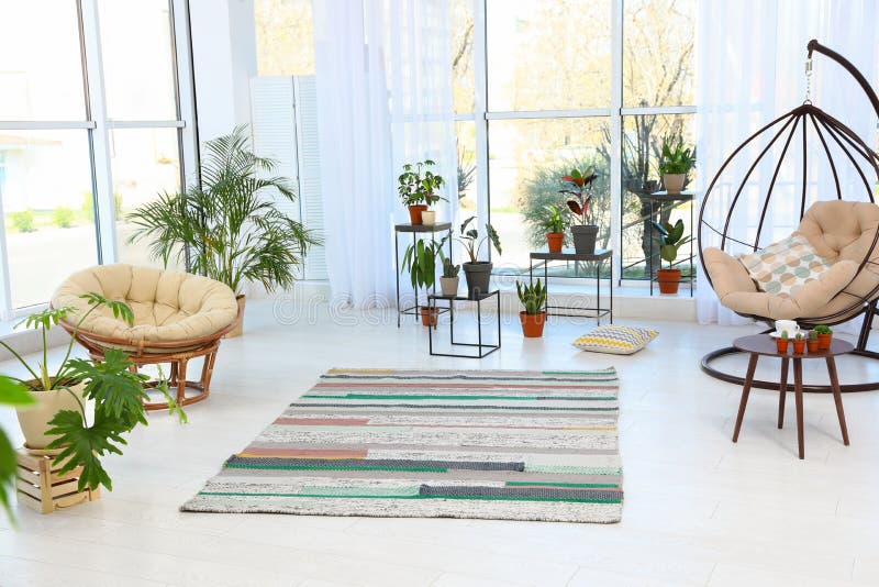 living room interior indoor plants swing papasan chairs trendy home decor 153698436