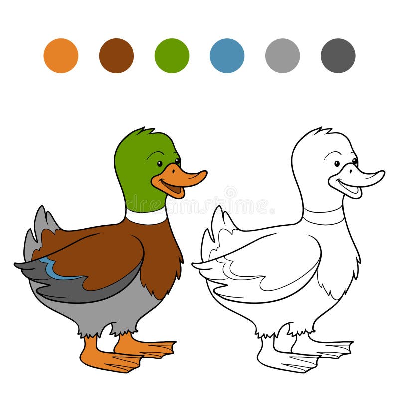 Livre De Coloriage Canard Illustration De Vecteur Illustration Du Cheri Contour