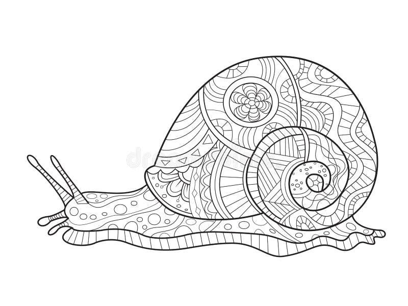 illustration stock livre de coloriage d escargot pour le vecteur d adultes image