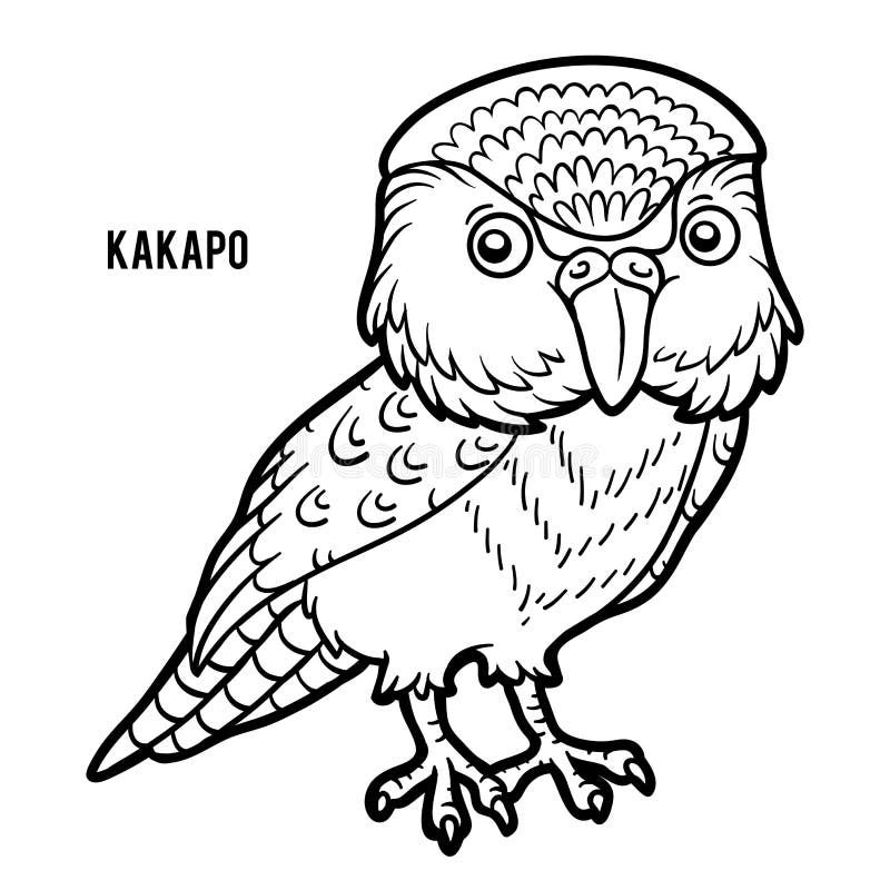 Livre de coloriage, Kakapo illustration de vecteur. Illustration du