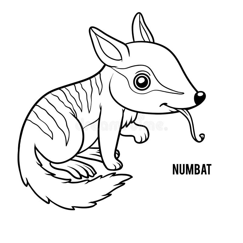 Livre de coloriage, Numbat illustration libre de droits Livre de coloriage, Numbat illustration libre de droits