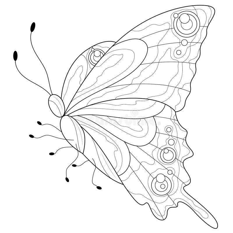 Coloriage papillon adulte (Coloriage Papillon)