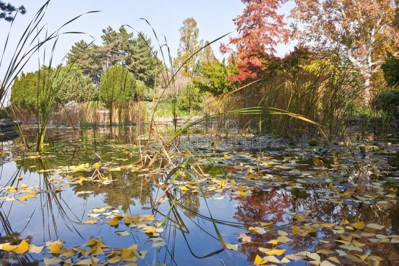 Livre en Margaret Island image libre de droits Livre en Margaret Island image libre de droits