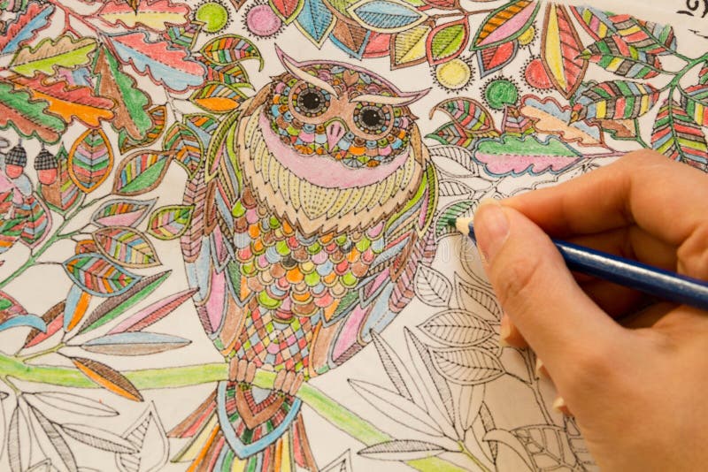 Livres de coloration adultes avec des crayons, nouvelle tendance de recuit de stabilisation, personne de concept de mindfulness c photographie stock libre de droits Livres de coloration adultes avec des crayons, nouvelle tendance de recuit de stabilisation, personne de concept de mindfulness c photographie stock libre de droits