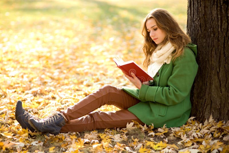 Livro de leitura da menina ao ar livre fotos de stock Livro de leitura da menina ao ar livre fotos de stock