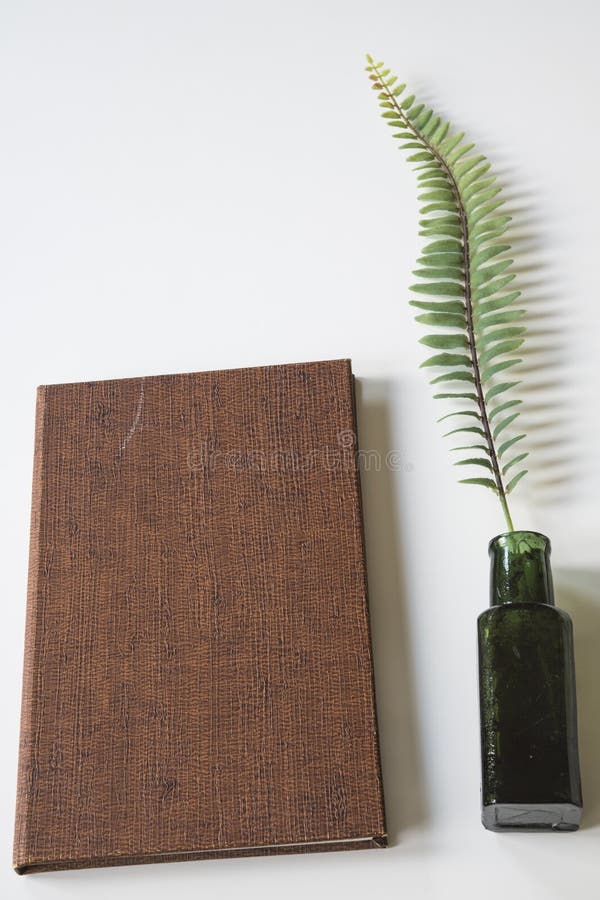Livro do vintage de Brown com potenciômetro e galho da tinta, na mesa branca imagem de stock Livro do vintage de Brown com potenciômetro e galho da tinta, na mesa branca imagem de stock