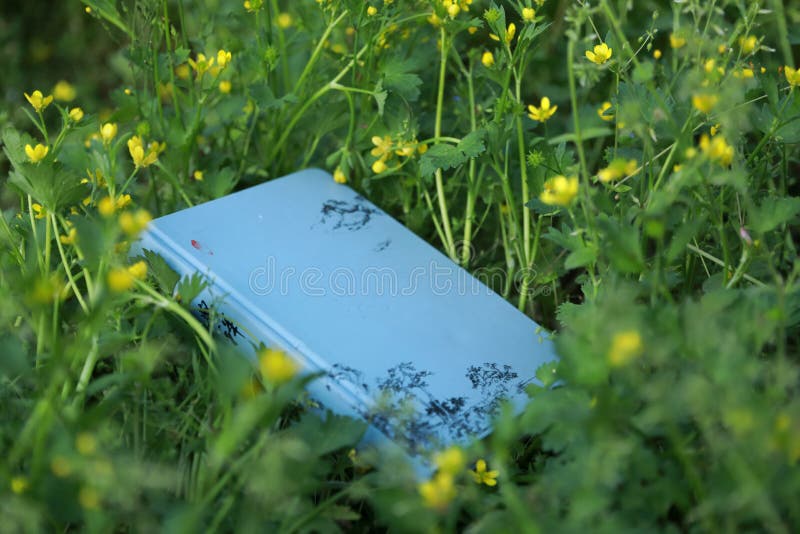 Livro na grama da flor Lido, natureza foto de stock royalty free